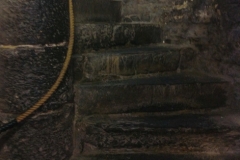 GENT-18