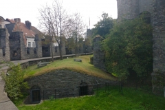 GENT-35