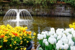 Keukenhof-15