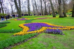 Keukenhof-16