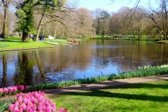 Keukenhof-18