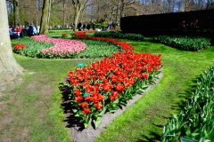 Keukenhof-19