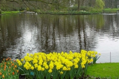 Keukenhof-21