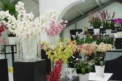 Keukenhof-27