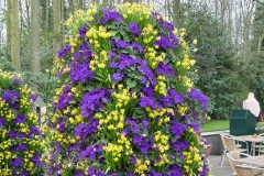 Keukenhof-33