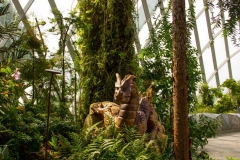 Singapure-Botanic-16
