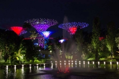 Singapure-Botanic-2