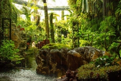 Singapure-Botanic-21