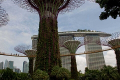 Singapure-Botanic-29