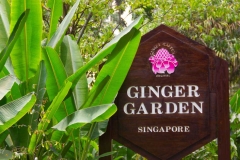 Singapure-Botanic-35
