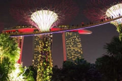 Singapure-Botanic-4