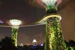 Singapure-Botanic-5