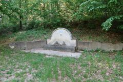 Den-21-2-scaled