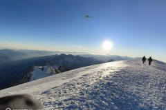 IMG_3880