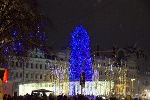 IMG_0214