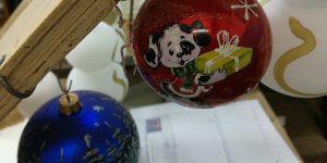 IMG_20171118_155413