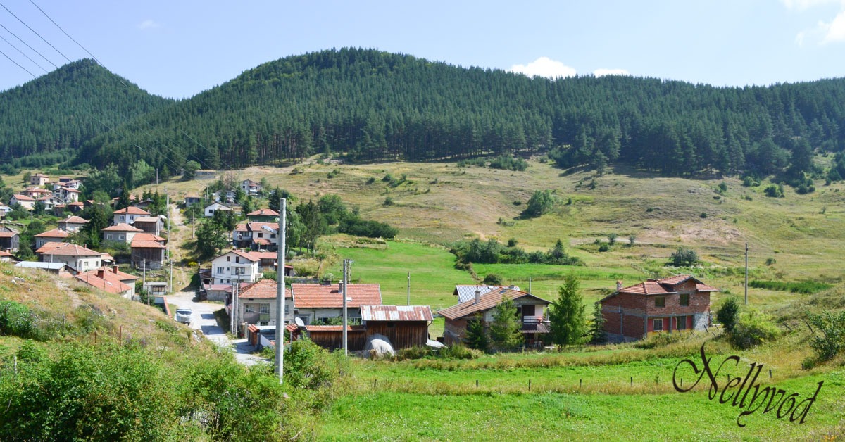 Ravnogor
