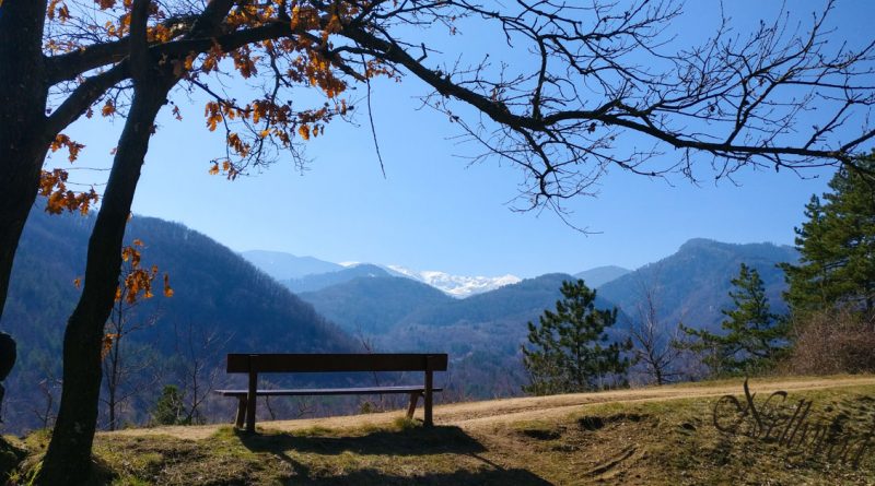 Rodopi mountains