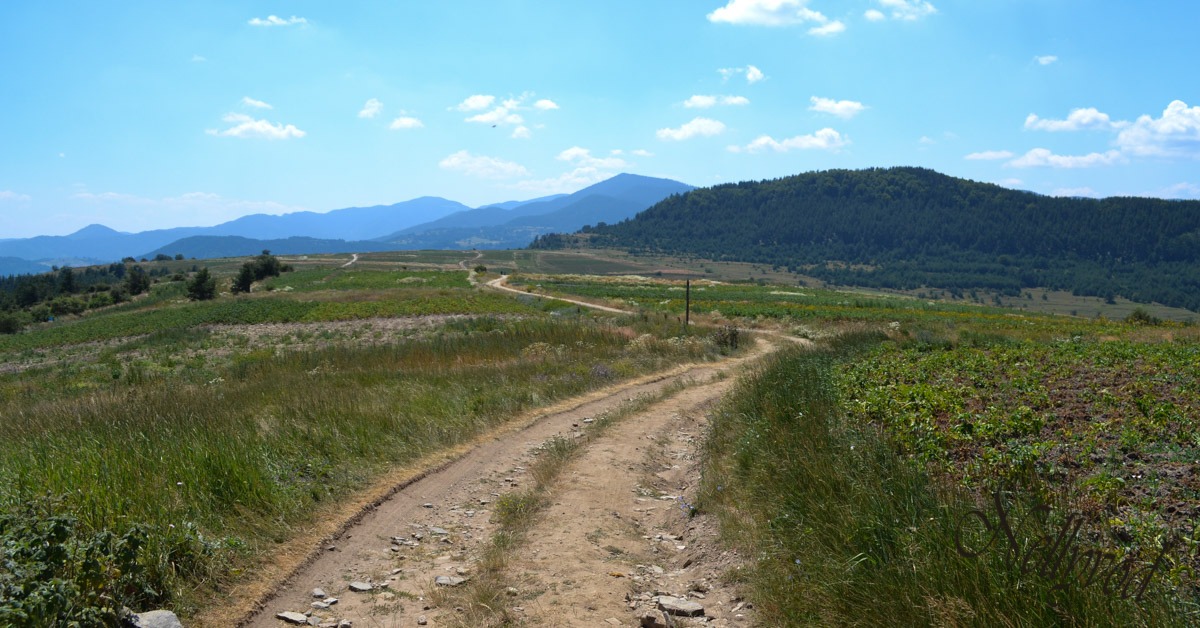 Пътят в селото, осеян с картофи