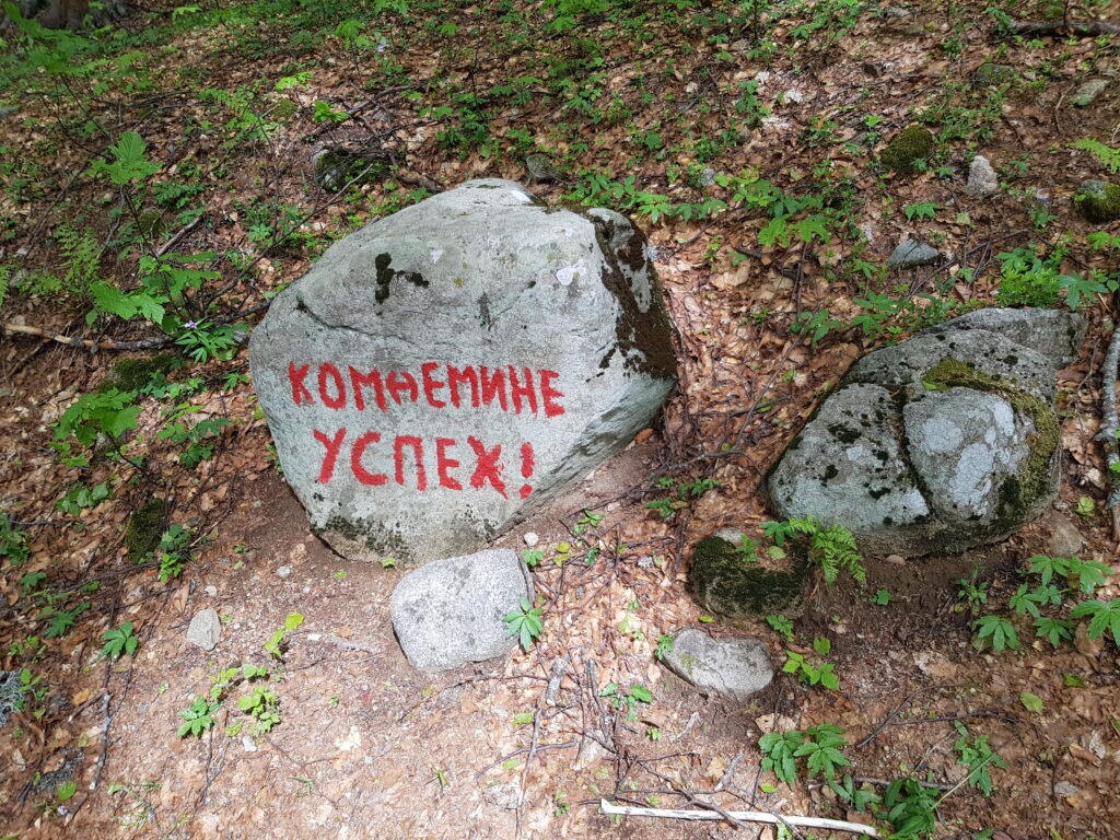 Ком Емине успех