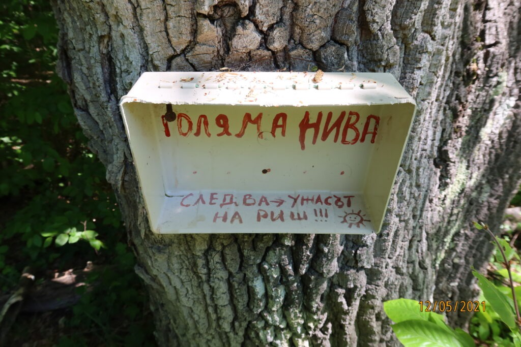 Ужасът на Риш